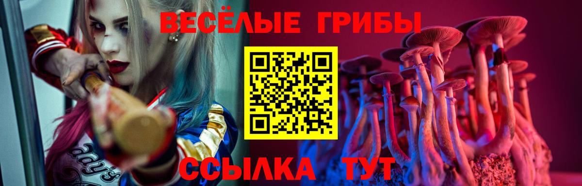 Ижевск  Галлюциногенные грибы Magic Shrooms  Вход с VPN 